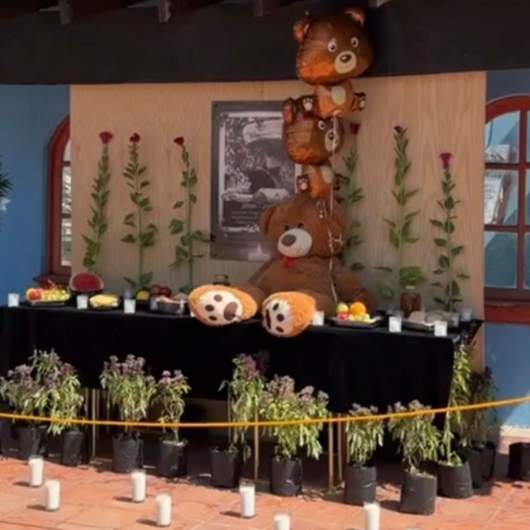 Colocan Altar para Despedir a Oso Yogui en el Parque Morelos de Tijuana, BC